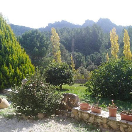 RióparCortijo Del Cuco别墅 外观 照片